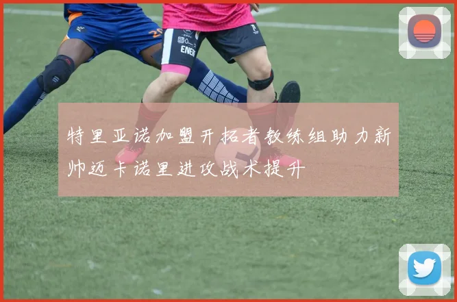 特里亚诺加盟开拓者教练组助力新帅迈卡诺里进攻战术提升