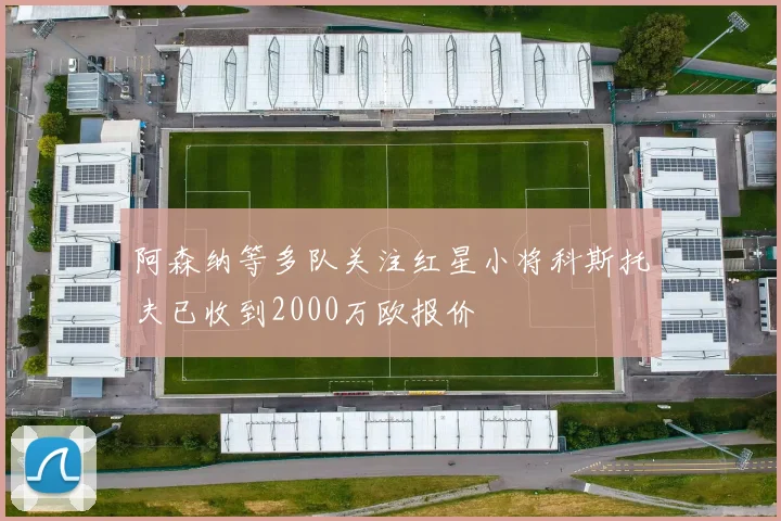 阿森纳等多队关注红星小将科斯托夫已收到2000万欧报价